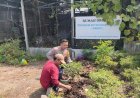 Polisi-Apresiasi-Rumah-Organik-Warga-Sedati-Gede-dalam-Mendukung-Ketahanan-Pangan