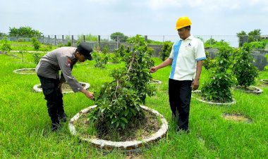 Bhabinkamtibmas-Sidodadi-Aiptu-Anton-Cek-Lokasi-Ketahanan-Pangan-Bergizi-di-Desa-Sidodadi