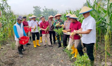Kapolsek-Porong-dan-Warga-Gelar-Panen-Raya-Jagung-di-Pekarangan-Bergizi-Lapas-Kelas-I-Surabaya