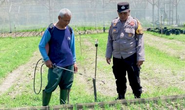 Bhabinkamtibmas-Desa-Bakung-Temenggungan-Kunjungi-Lahan-Pekarangan-Pangan-Bergizi