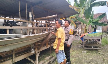 Bhabinkamtibmas-Desa-Gamping-Tinjau-Ternak-Kambing-Dukung-Ketahanan-Pangan