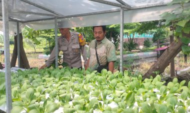 Warga-Desa-Gelam-Antusias-Tanam-Sayur-Hidroponik-Dukung-Ketahanan-Pangan