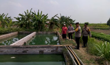 Kapolsek-Krembung-Cek-Kolam-Gurami-dan-Tanaman-Warga-untuk-Ketahanan-Pangan