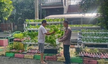 Bhabinkamtibmas-Desa-Larangan-Cek-Ketahanan-Pangan-dengan-Hidroponik