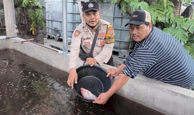 Bhabinkamtibmas-Desa-Ketajen-Tinjau-Peternakan-Nila-Merah,-Dukung-Ketahanan-Pangan-Masyarakat