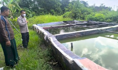 Polsek-Tarik-Dampingi-Warga-Kedungbocok-Budidaya-Ikan-Lele