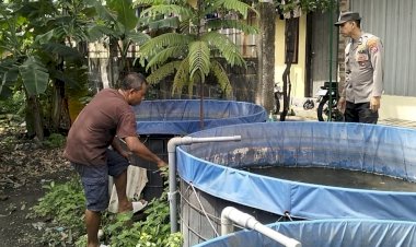 Polsek-Tulangan-Cek-Program-Ketahanan-Pangan-Budidaya-Ikan-Lele-di-Desa-Krembangan