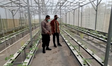 Dukung-Ketahanan-Pangan,-Warga-Gempolklutuk-bersama-Polsek-Tarik-Kembangkan-Melon-Hidroponik