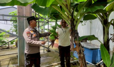 Polsek-Taman-Pantau-Lahan-Tanaman-Pisang-dan-Jambu-untuk-Swasembada-Pangan