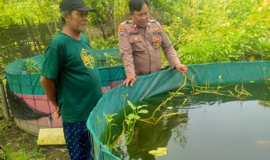 Wujud-Ketahanan-Pangan,-Kanit-Binmas-Polsek-Prambon-Tinjau-Budidaya-Ikan-Nila