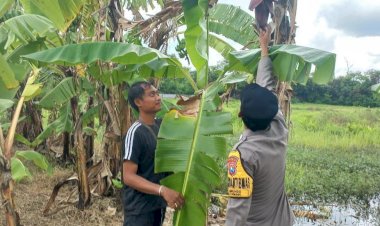 Polisi-Edukasi-Warga-Tanam-Pisang-untuk-Swasembada-Pangan-Mandiri