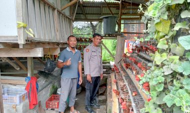 Bhabinkamtibmas-Tulangan-Tinjau-Peternakan-Unggas,-Pastikan-Ketahanan-Pangan-Berjalan-Optimal