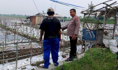 Warga-Desa-Pilang-Manfaatkan-Lahan-Kosong-untuk-Budidaya-Melon,-Dapat-Apresiasi-dari-Bhabinkamtibmas