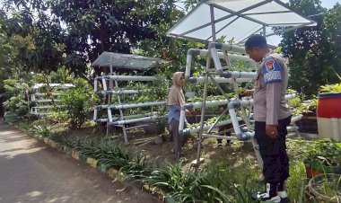 Bhabinkamtibmas-Desa-Sumorame-Bersinergi-dengan-Ketua-Bumdes-Giatkan-Tanaman-Sawi-Hidroponik