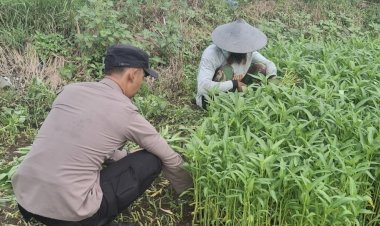 Bhabinkamtibmas-Desa-Sumberejo-Cek-Ketahanan-Pangan-Warga,-dengan-Pemanfaatan-Lahan-Kosong-untuk-Tanaman-Sayur
