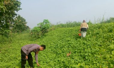 Bhabinkamtibmas-Desa-Balongtani-Dukung-Program-Ketahanan-Pangan-Lewat-Perawatan-Tanaman-P2B