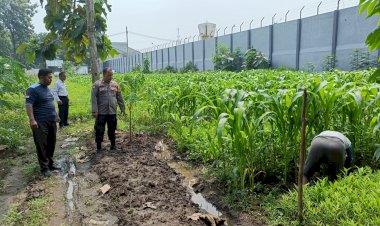 Dukung-Program-Asta-Cita-Presiden-RI,-Polsek-Porong-dan-Lapas-Klas-I-Surabaya-Cek-Tanaman-Jagung,-Sawi,-dan-Kangkung-di-Lahan-Ketahanan-Pangan-P2B