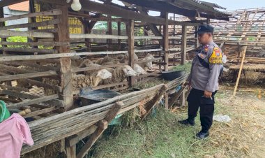 Polsek-Porong-Tinjau-Lahan-Ketahanan-Pangan-di-Desa-Kebonagung