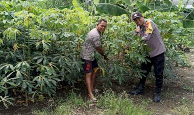 Kapolsek-Taman-Dorong-Ketahanan-Pangan-Lewat-Pemberdayaan-Lahan-Kosong-untuk-Aneka-Tanaman