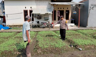 Polresta-Sidoarjo-|-Warga-Desa-Pangkemiri-Manfaatkan-Lahan-Pekarangan-untuk-Wujudkan-Ketahanan-Pangan-Mandiri