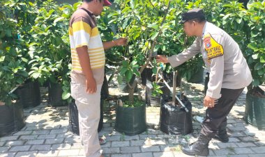 Polresta-Sidoarjo-|-Polsek-Tanggulangin-Tinjau-Ketahanan-Pangan-Lewat-Patroli-Sambang-Desa
