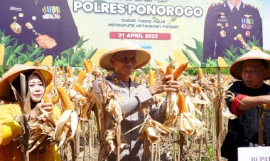 Polisi-dan-Warga-Tani-Panen-Raya-Jagung-Hibrida-Bhayangkara-Tahap-II-di-Ponorogo