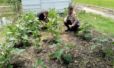 Sinergi-Bhabinkamtibmas-dan-Warga-Dukung-Ketahanan-Pangan-Lewat-Pengelolaan-Lahan-Sayuran-P2B-di-Jabon