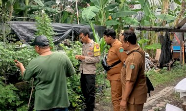 Bhabinkamtibmas-Waru-Tinjau-Tanaman-TOGA,-Dukung-Ketahanan-Pangan-Nasional