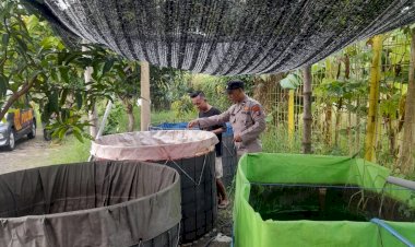 Langkah-Ketahanan-Pangan,-Warga-Desa-Trosobo-Manfaatkan-Lahan-Kosong-untuk-Kolam-Bioflok-Pembesaran-Lele