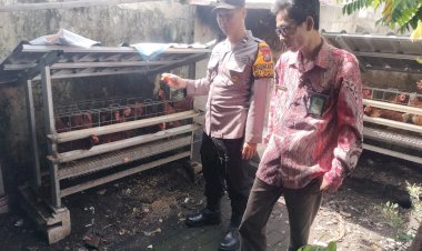 Bhabinkamtibmas-Dampingi-Warga-Tenggulunan-dalam-Program-Ketahanan-Pangan-Budidaya-Ayam-Petelur