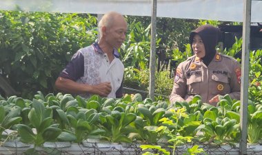 Implementasi-Ketahanan-Pangan,-Polsek-Gedangan-Apresiasi-Lahan-Sayur-Hidroponik-di-Desa-Punggul