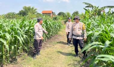 Kanit-Binmas-Polsek-Krembung-Tinjau-Lahan-Ketahanan-Pangan-di-Desa-Wonomlati