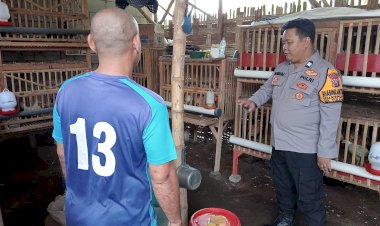 Tinjau-Pekarangan-Unggas,-Polsek-Tulangan-Optimalkan-Ketahanan-Pangan-Bergizi-Lewat-P2B-di-Desa-Kepunten