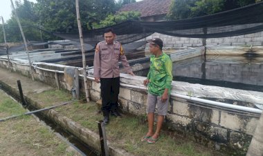 Dukung-Swasembada-Pangan,-Dampingi-Budidaya-Lele-di-Desa-Waung