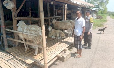 Polsek-Porong-Tinjau-Ternak-Kurban-Dukung-Ketahanan-Pangan