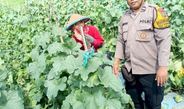 Dukung-Ketahanan-Pangan-Lewat-Perawatan-Tanaman-Hortikultura-di-Balongbendo