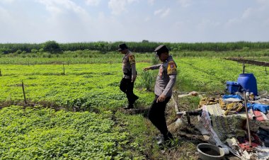Program-Polisi-Cinta-Petani:-Polsek-Krembung-Aktif-Dampingi-Lahan-P2B