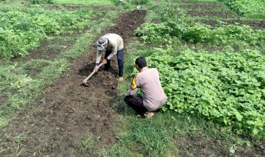 Bhabinkamtibmas-Tinjau-Lahan-Sayur,-Dorong-Swasembada-Pangan-Warga-Sidoarjo