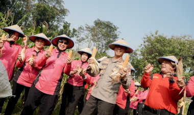 SPN-Polda-Jatim-Gelar-Panen-Raya-Jagung,-Wujudkan-Ketahanan-Pangan