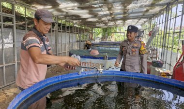 Bhabinkamtibmas-Desa-Kebonagung-Polsek-Sukodono,-Cek-Perkembangan-Budidaya-Ikan-Lele-Warga-di-Lahan-Kosong