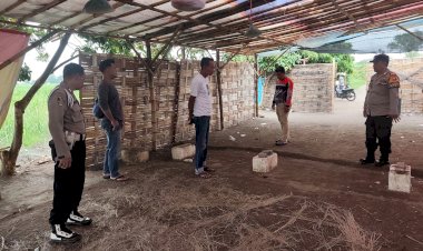 Polsek-Tulangan-Turun-Langsung-ke-Lokasi-Diduga-Tempat-Sabung-Ayam