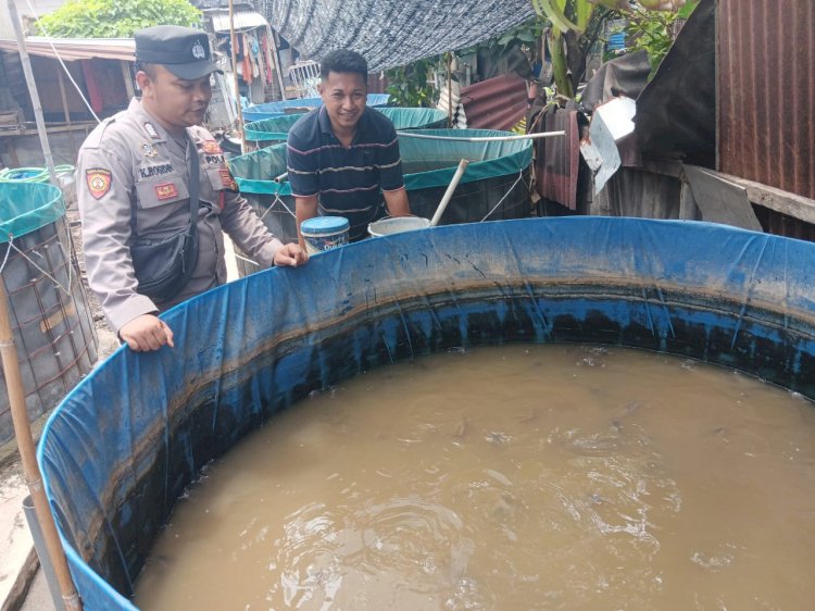 Bhabinkamtibmas Desa Ketajen Tinjau Budidaya Ikan Lele Dukung Program P2B