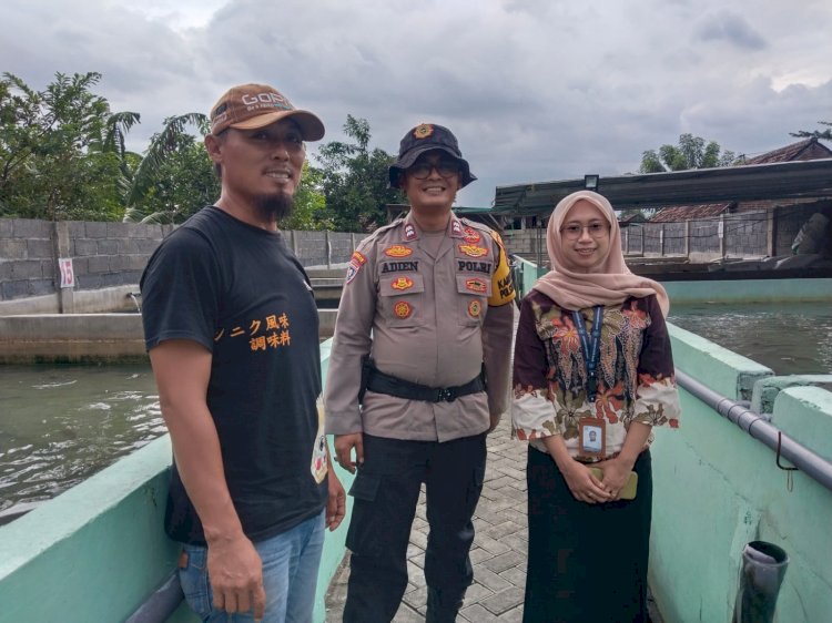 Kanit Binmas Polsek Krembung Tinjau Budidaya Ikan Lele di Desa Kandangan Bersama Dinas Perikanan