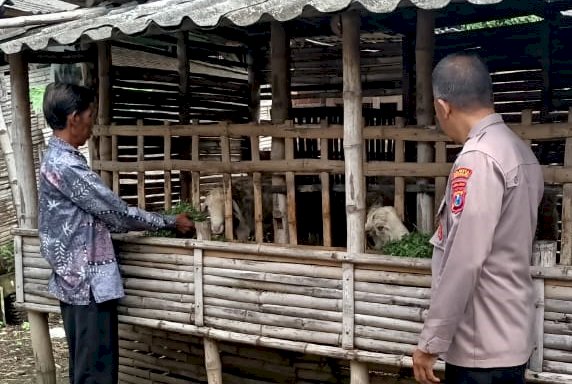 Warga Desa Mulyodadi Manfaatkan Lahan Kosong untuk Beternak Kambing, Dapat Dukungan dari Bhabinkamtibmas