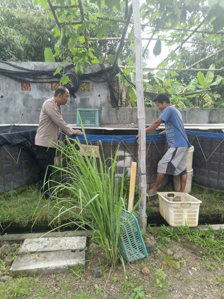 Bhabinkamtibmas Desa Jambangan Dukung Warga Kembangkan Budidaya Lele, Wujudkan Swasembada Pangan Mandiri