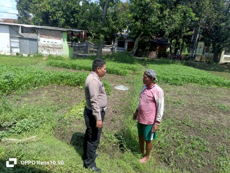 Polsek Sukodono Dukung Upaya Warga Gelorakan Ketahanan Pangan Sayur Kangkung