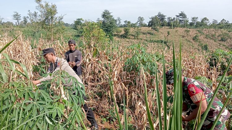 Bhabinkamtibmas Polres Pasuruan Jadi Motor Penggerak Ketahanan Pangan