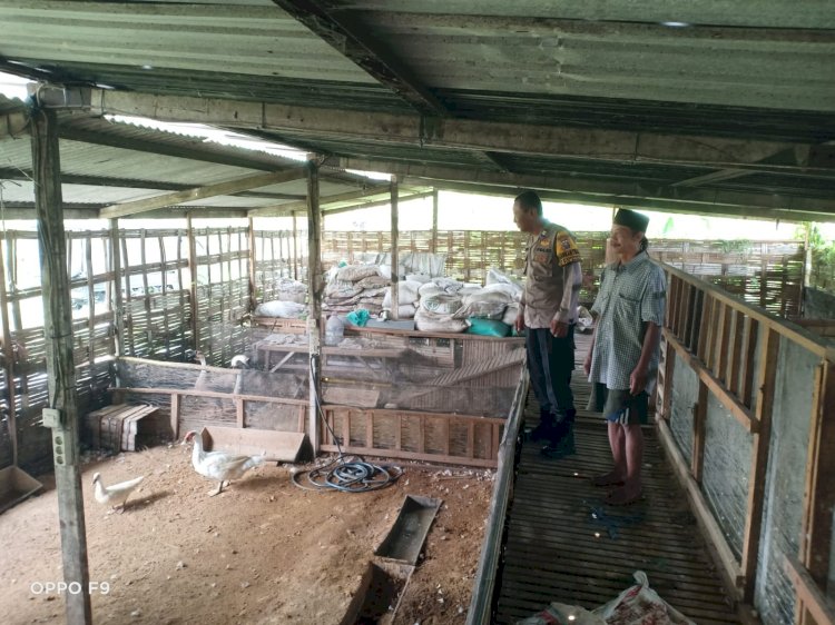 Bhabinkamtibmas Kenongo Cek Lahan Ketahanan Pangan Peternakan Unggas Dukung Program Asta Cita Presiden