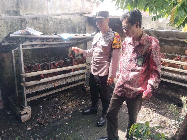 Bhabinkamtibmas Dampingi Warga Tenggulunan dalam Program Ketahanan Pangan Budidaya Ayam Petelur