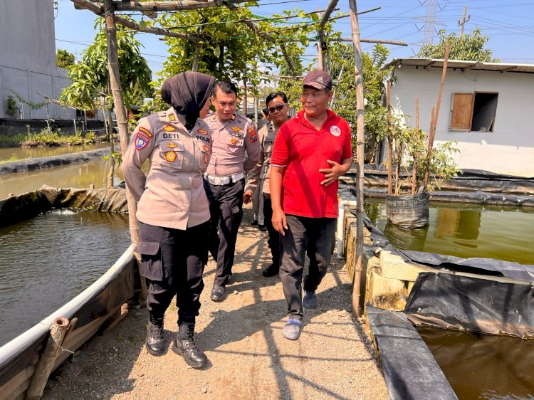 Potensi Ikan Gurami Desa Popoh Wonoayu Didatangi Tim Monev Program Ketahanan Pangan Polresta Sidoarjo
